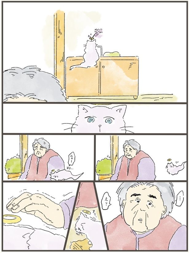 飼い主に擦り寄るさくら （C）中山有香里／KADOKAWA