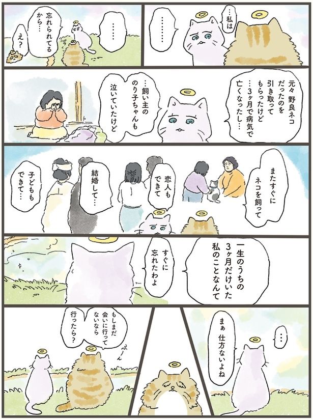 忘れられてるから… （C）中山有香里／KADOKAWA