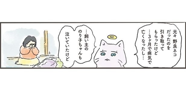 …3ヶ月で病気で亡くなったし… （C）中山有香里／KADOKAWA