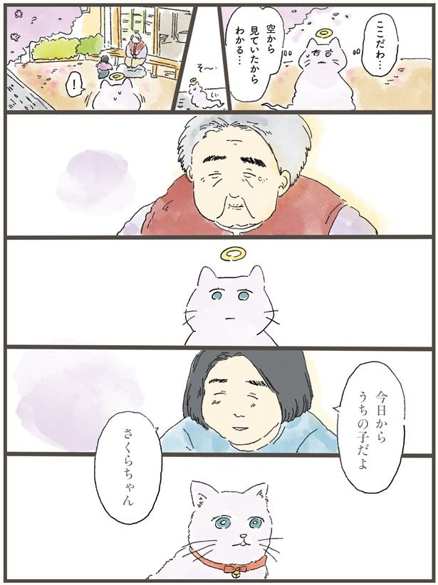 今日からうちの子だよ （C）中山有香里／KADOKAWA