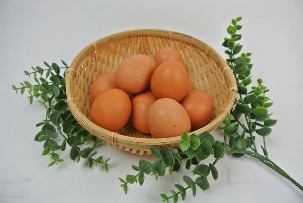 大分県のカジワラファームが、オーガニック鶏肉の生産販売に挑戦！クラファンSTART