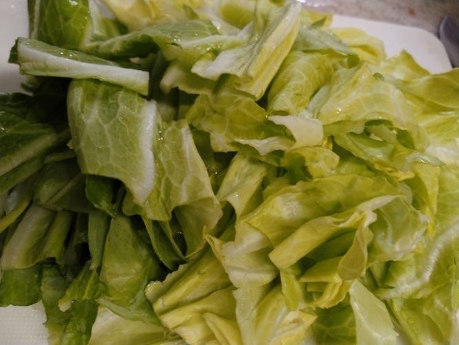 春キャベツ
