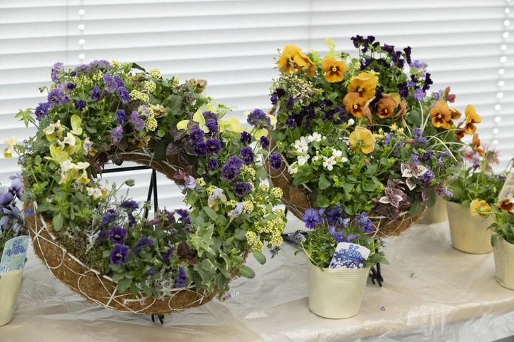 人気YouTuber【オニちゃん】が伝授！おしゃれな「寄せ植え」を作る3つのルールとは？