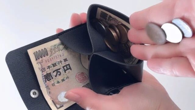 ダイソー お札 折らない 財布