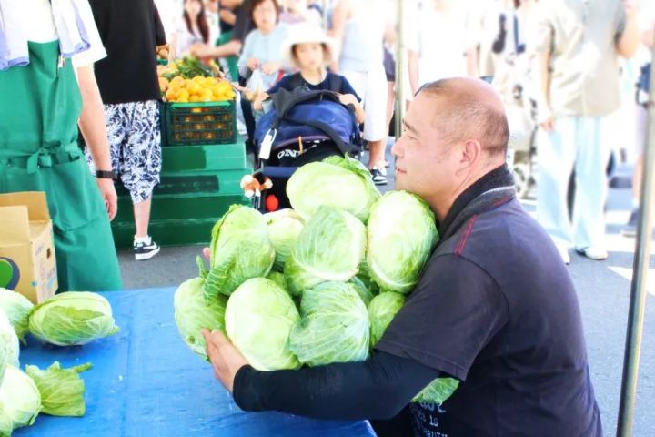 キャベツ抱え放題