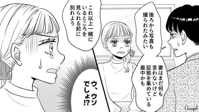 【スカッと漫画】「私の夫と浮気してますよね？」親戚の身代わりにされ、不倫騒動に巻き込まれた話【第14話】
