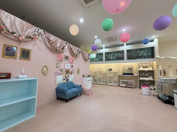 動物ふれあいルーム(1)