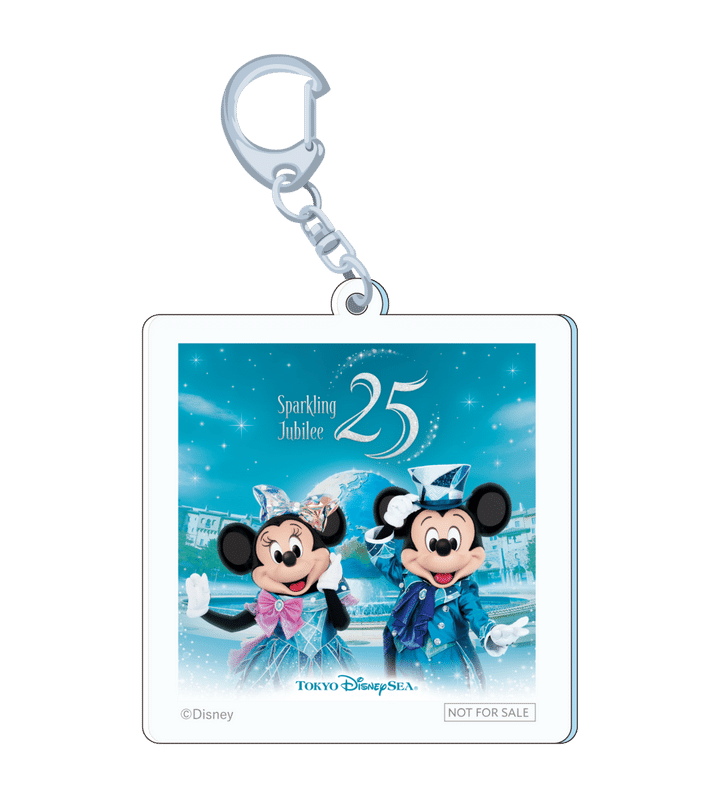 Disney_keyholder_image