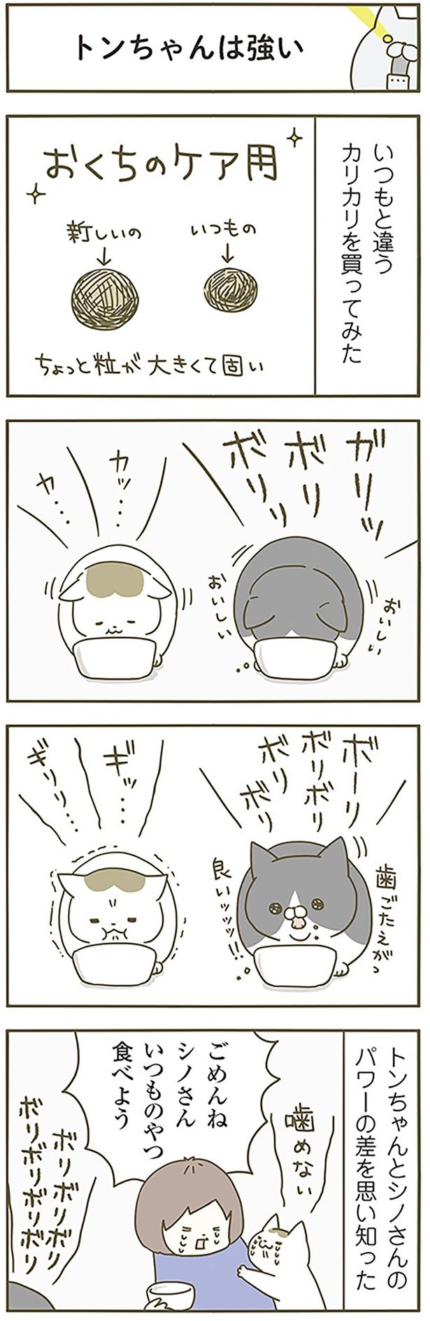 トンちゃんは強い （C）卵山玉子／KADOKAWA