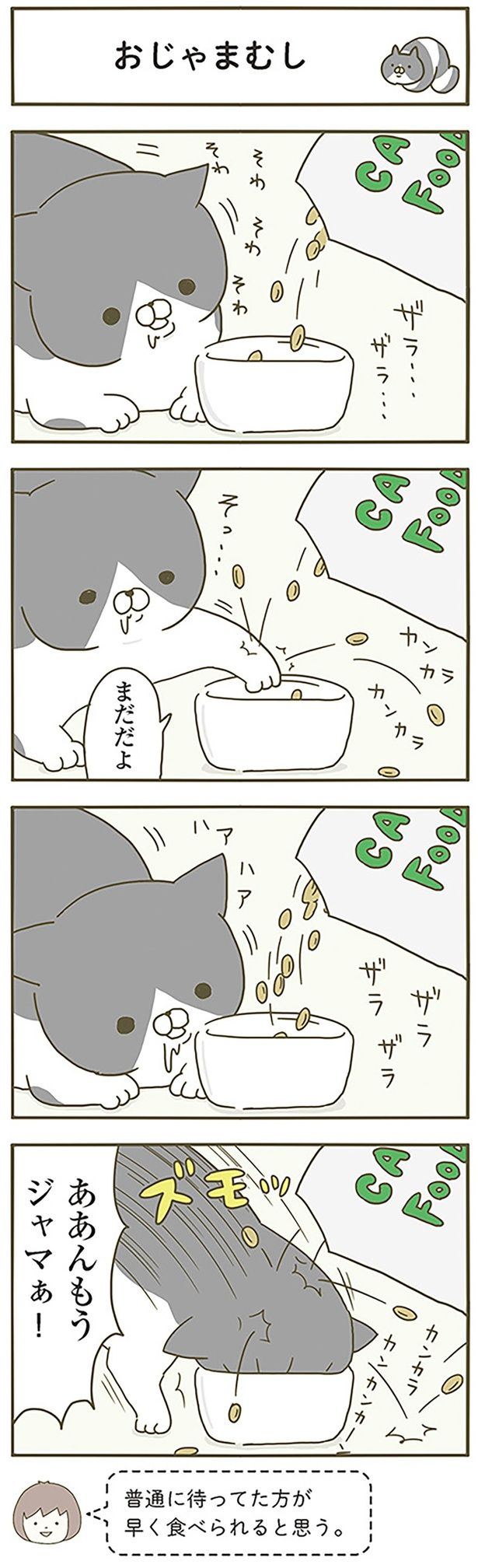 おじゃまむし （C）卵山玉子／KADOKAWA