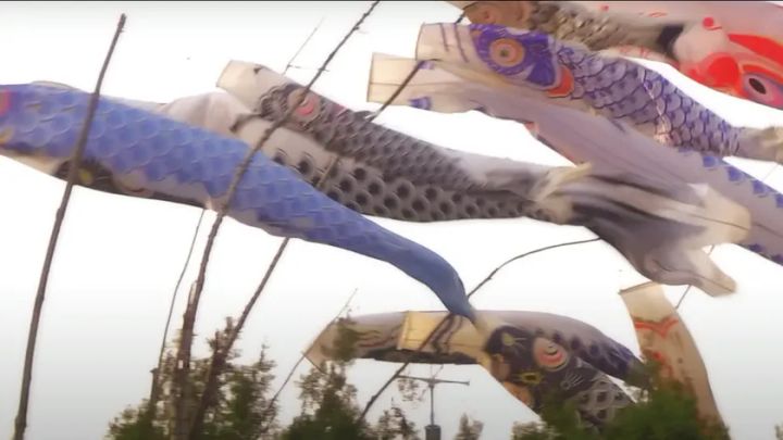 映画「JUN AI」の象徴的シーン「こいのぼり」、多くの人々の心を動かす本作品の代表的シーン