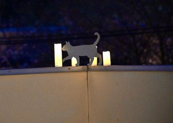 【岡山県倉敷市】PPKいがらしゆみこ美術館が「夜のお姫さま」「長寿お祝い」プランを提供！母の日予約特典も