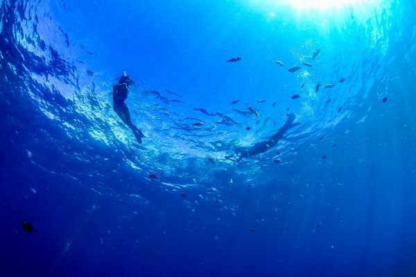 【沖縄県恩納村】ルネッサンス リゾート オキナワに「島豆腐」を魚介や島野菜とともに味わう会席が登場
