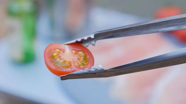 トマトや生ハムなどの柔らかいものから、分厚くて重量のある肉までしっかり掴めるマルチファング