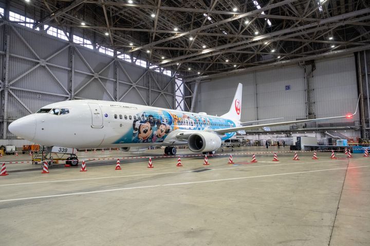 日本航空「JAL Jubilee Express」撮影