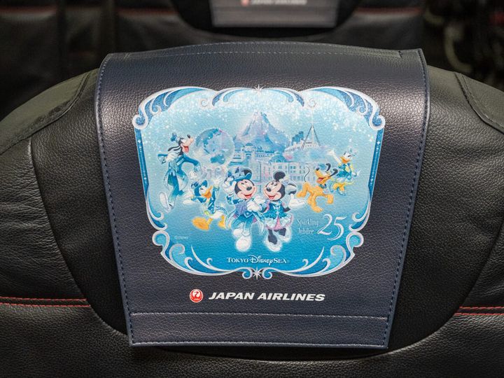 特別なデザインのヘッドレストカバー エコノミー