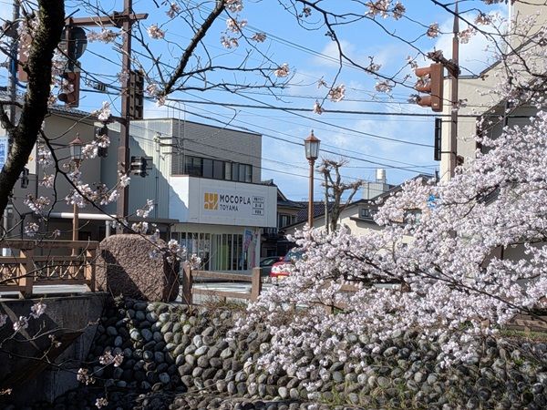 【富山県富山市】MOCOPLA富山教室、低頻度で通いやすい小学生向け「そろばん教室」開講！4月受講料無料