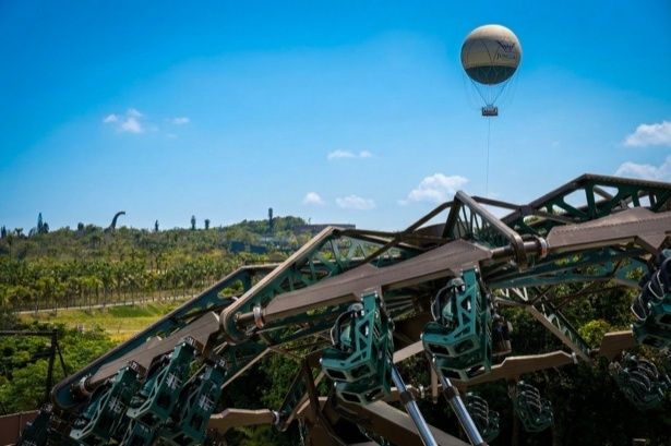 「やんばるトルネード」現場写真