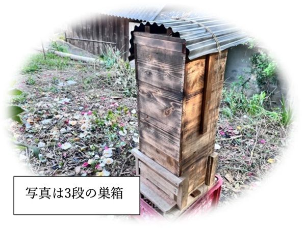 【岡山県倉敷市】里山の生物多様性についても学べる、ニホンミツバチの巣箱づくりワークショップ開催！