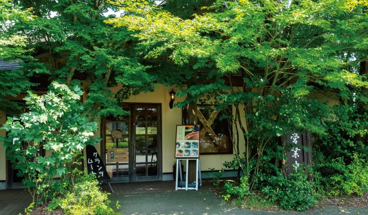 来たからには絶対に食べておきたい阿蘇グルメ！