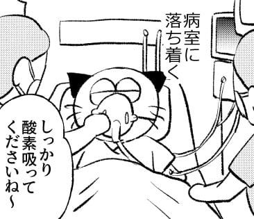 漫画「子宮内膜増殖症で子宮全摘した話」のカット（春日さん提供）