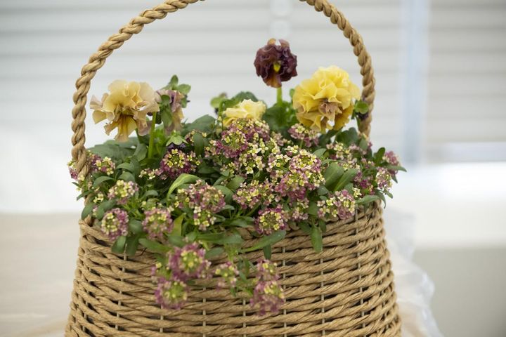 寄せ植えで失敗する原因は「土の入れ方」にあり!? YouTubeで大人気！【オニちゃん】直伝