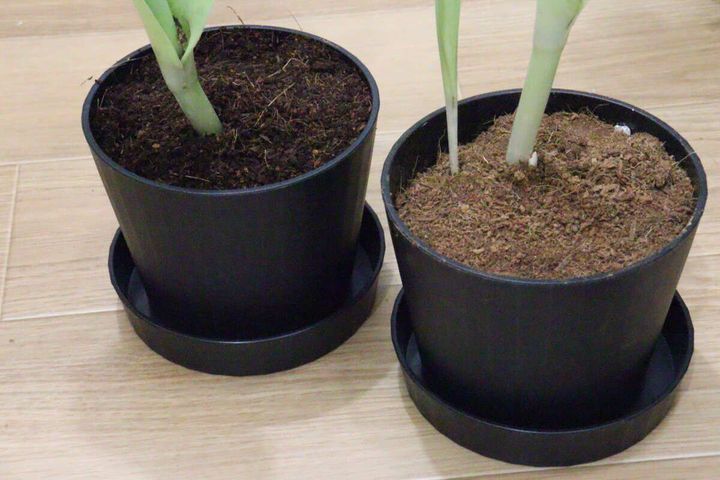 ダイソーのエコポットとエコプレートを使ったレイアウト例