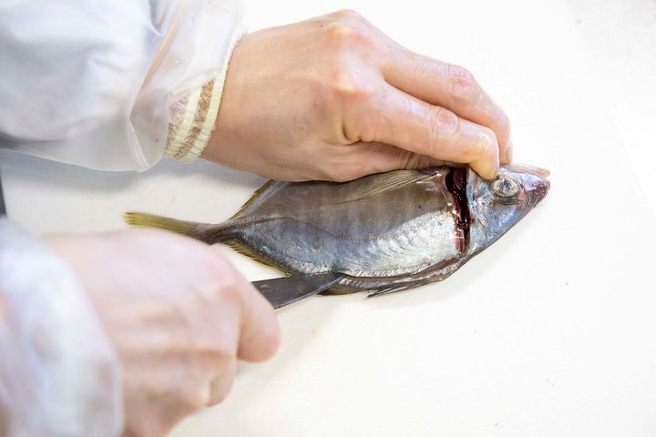 首から尾まで切り目を入れる