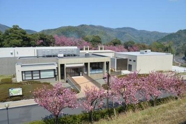 2種類の桜で2度の見頃を楽しめる/引揚記念公園の桜 画像提供：舞鶴引揚記念館