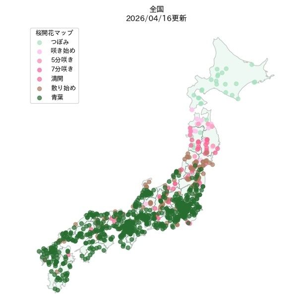 全国の開花状況マップ(2026年4月16日現在)