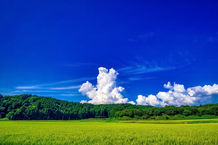 「ふるさと納税」は4月から始めるのが一番お得？ 12月に駆け込まない人が得をする、返礼品の『旬の先行予約』のメリット