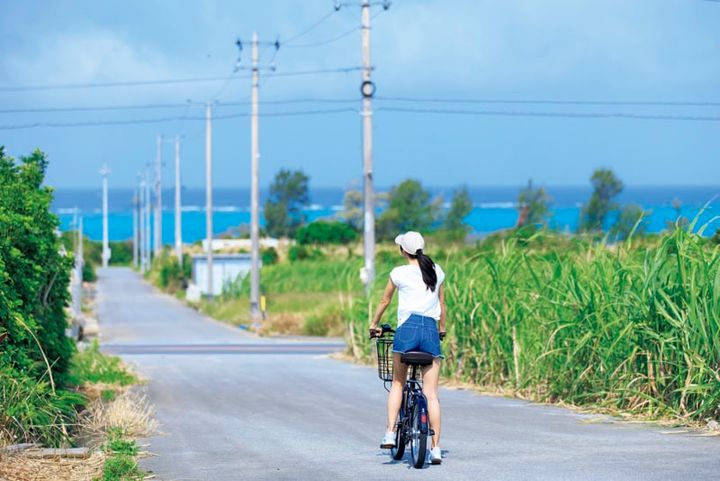 海の見える沖縄の道、レンタサイクルに乗った女性