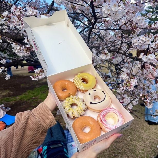 「出前館」を活用してお花見ピクニックを充実させてみた！