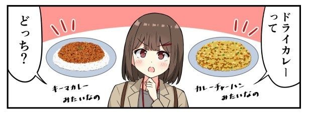 ドライカレーの定義とは？ ちゃー(@tyanekosu)