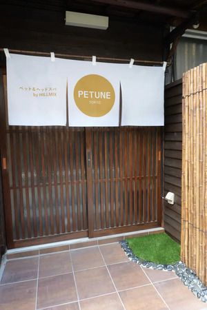 【東京都渋谷区】ペットとヒトが同時にととのう、完全個室のウェルネスサロン「PETUNE TOKYO」OPEN