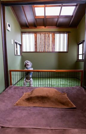 【東京都渋谷区】ペットとヒトが同時にととのう、完全個室のウェルネスサロン「PETUNE TOKYO」OPEN