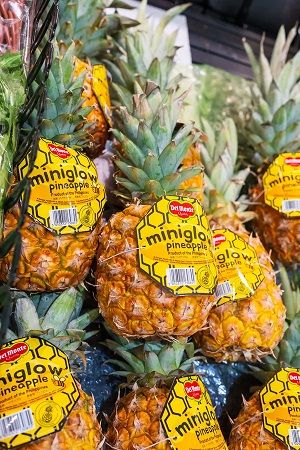 【愛知県安城市】お酒と食のセレクトショップ「LIQUOR WAREHOUSE CRAFTららぽーと安城店」OPEN！