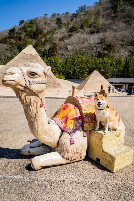 東武ワールドスクウェアのエジプトゾーン