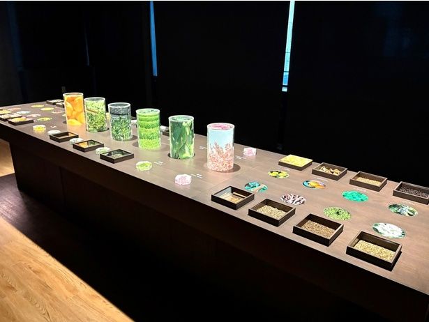 4階の展示室。多彩な素材がズラリと並んでいる