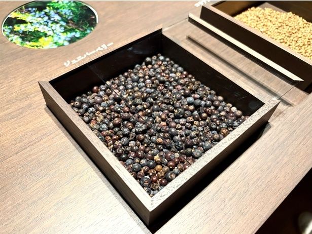 ジンの主原料となるジュニパーベリー。渋味のある甘い香りがした