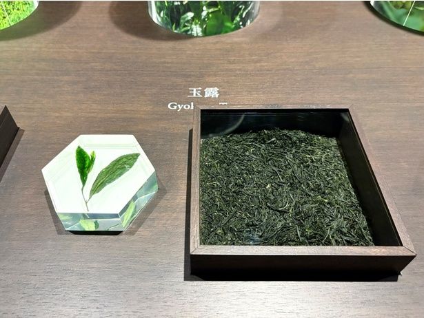 オープニングセレモニーで町田さんが「ほっこりする」と話していた玉露