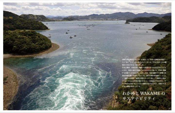 書籍版の特集ページ