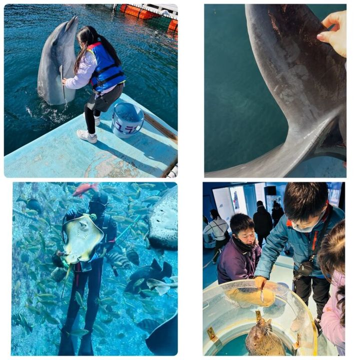 下田海中水族館