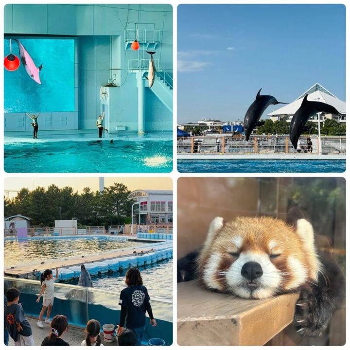 シーパラダイス