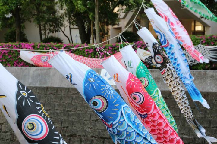 画像: 嫁いだ私を震え上がらせた【巨大鯉のぼり】優雅な光景の『壮絶な裏側』に「家族の執念を見た」