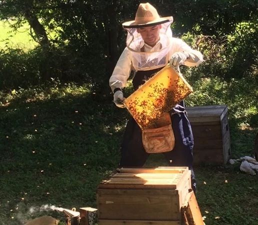 「新蜜 神都 花々」と「新蜜 れんげ」が予約開始！新鮮で貴重なはちみつを味わおう