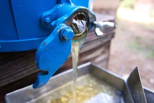 「新蜜 神都 花々」と「新蜜 れんげ」が予約開始！新鮮で貴重なはちみつを味わおう