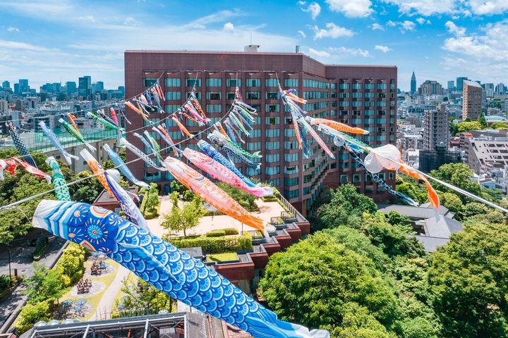 庭園の上空を泳ぐ鯉のぼり