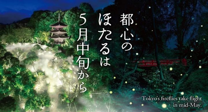 ホテル椿山荘東京の庭園で楽しめる蛍のイメージ