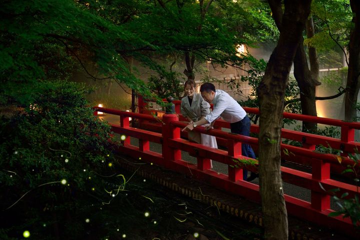 プライベートホタルナイトの宿泊イメージ